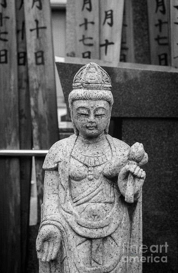 Graveyard Buddha Photograph by Dean Harte