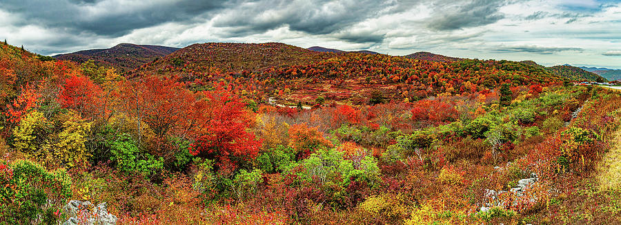 Mountain Photograph - Graveyard Fields Autumn Panorama by Dan Carmichael
