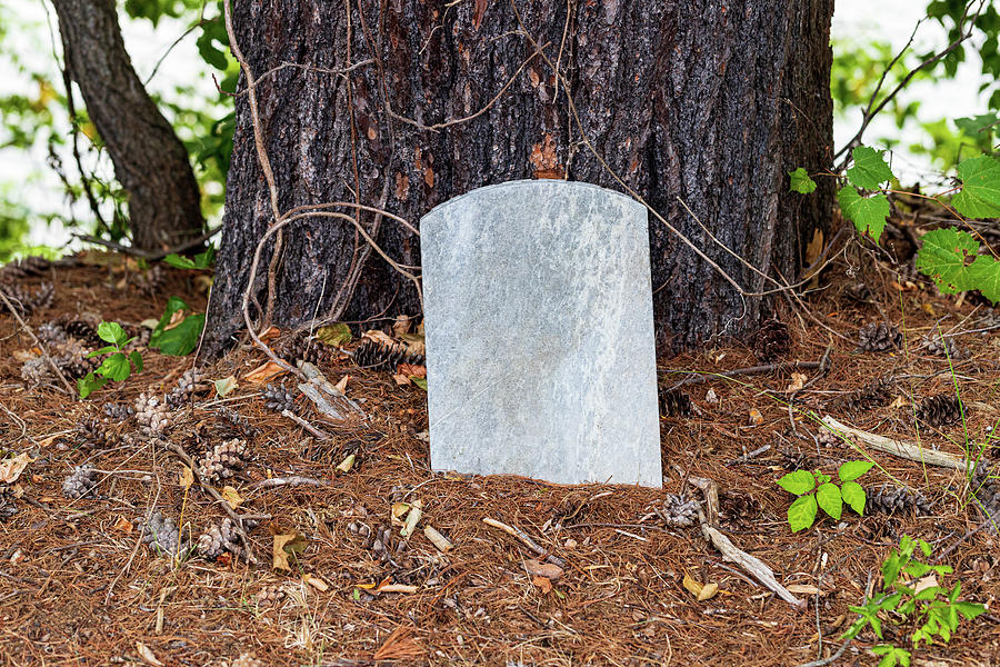 Graveyard Stone Photograph by Amelia Pearn