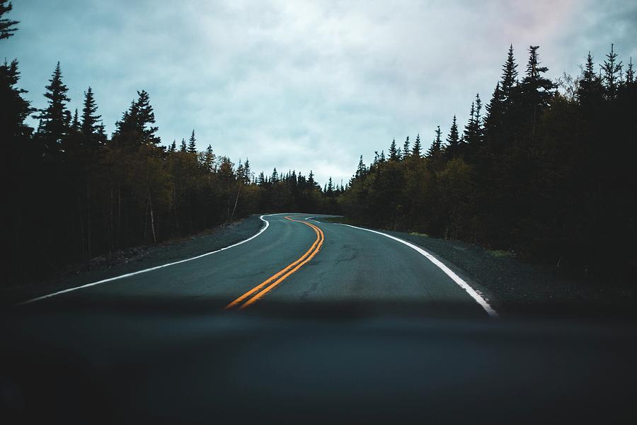 Gray Asphalt Road Between Green Trees Under Gray Sky Photograph by ...