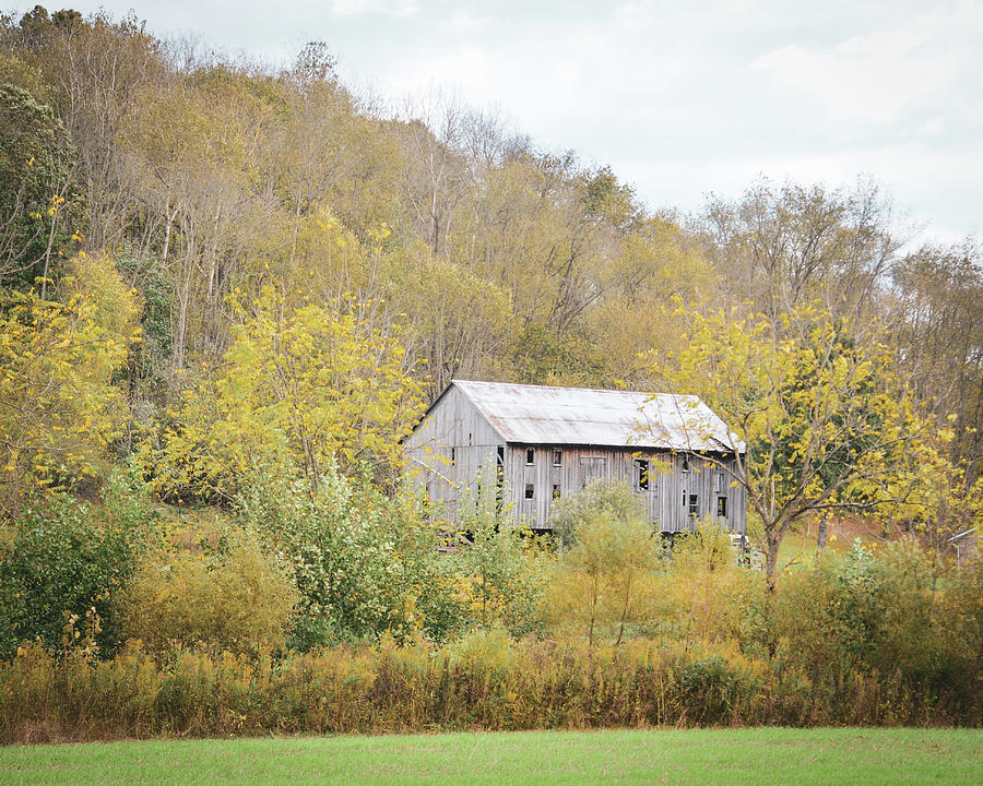 Gray Barn Photograph by Michelle Wittensoldner