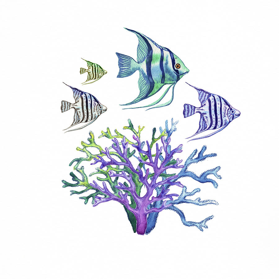 Fish Painting - Gray Blue Green Purple Angle Fish in Coral Reef by Irina Sztukowski