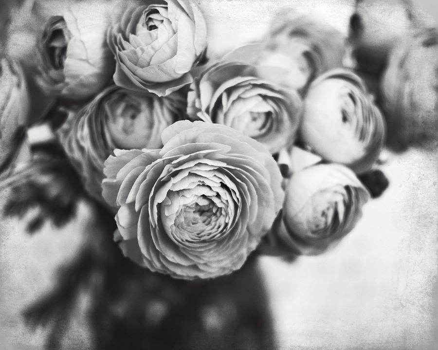 Gray Bouquet Photograph by Lupen Grainne