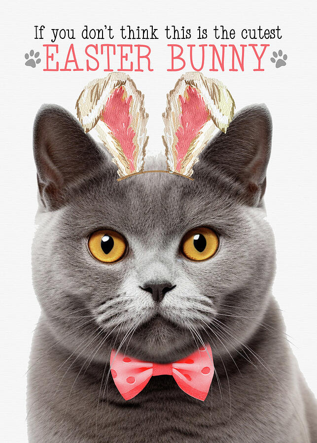 Gray British Shorthair Cat Easter Bunny Digital Art by Doreen Erhardt