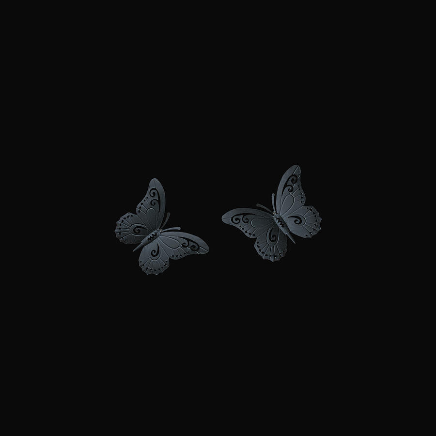 Gray Butterflies on a Black Background Digital Art by Ali Baucom