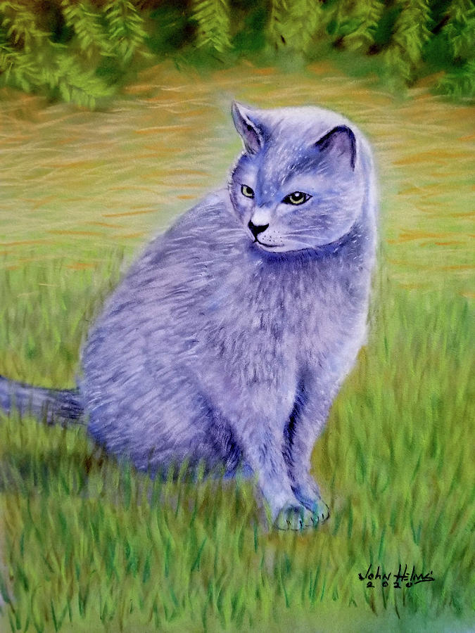 Gray Cat Drawing by John Helms - Fine Art America