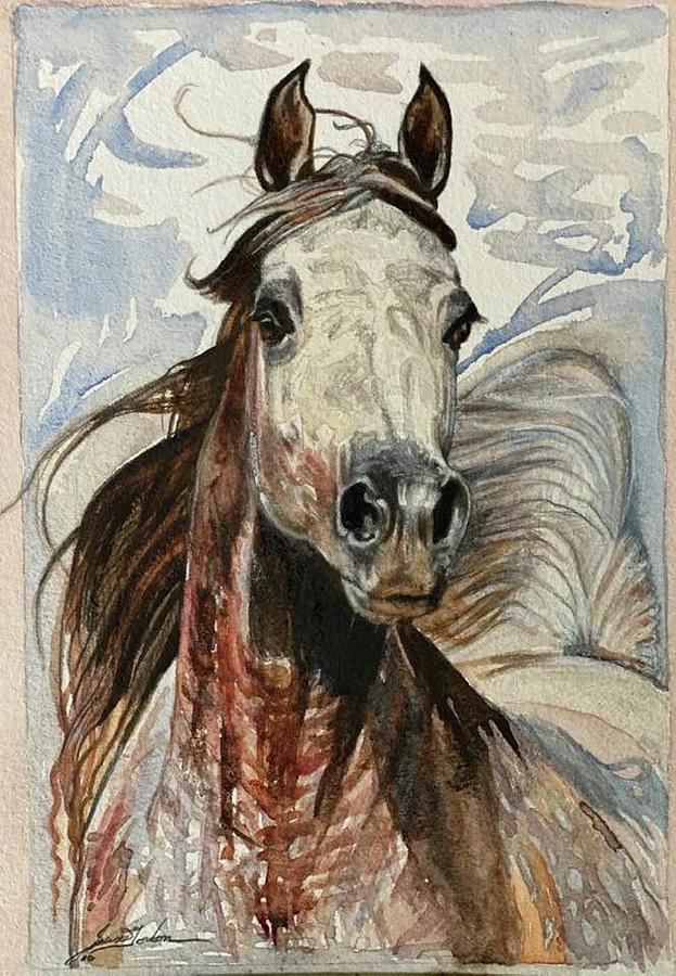 Horse Painting - Gray Dawn Arabian by Susie Gordon