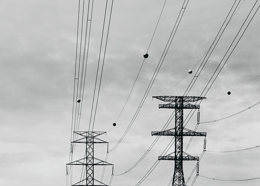 Gray Day Power Towers Photograph