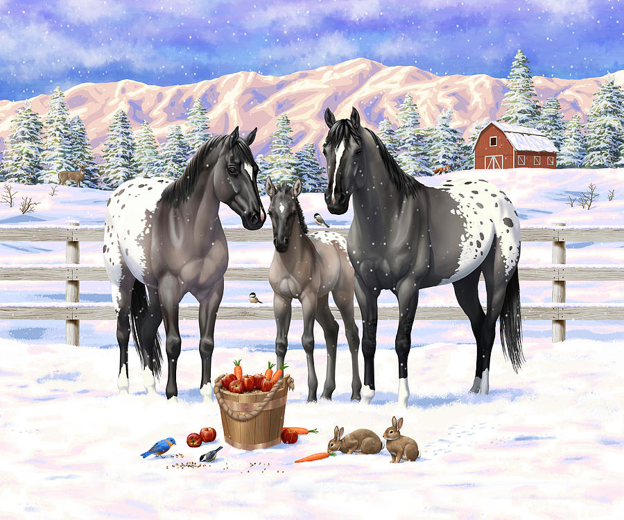 Gray Grulla Appaloosa Horses In Snow Painting by Crista Forest