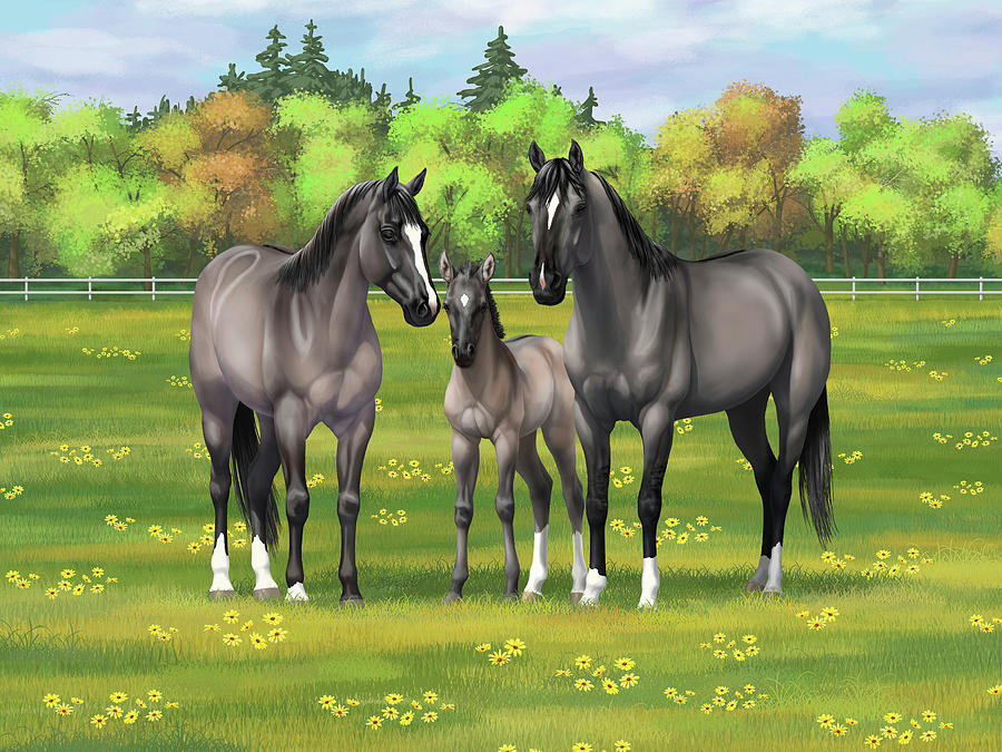 Gray Grulla Quarter Horses in Summer Pasture Digital Art by Crista Forest