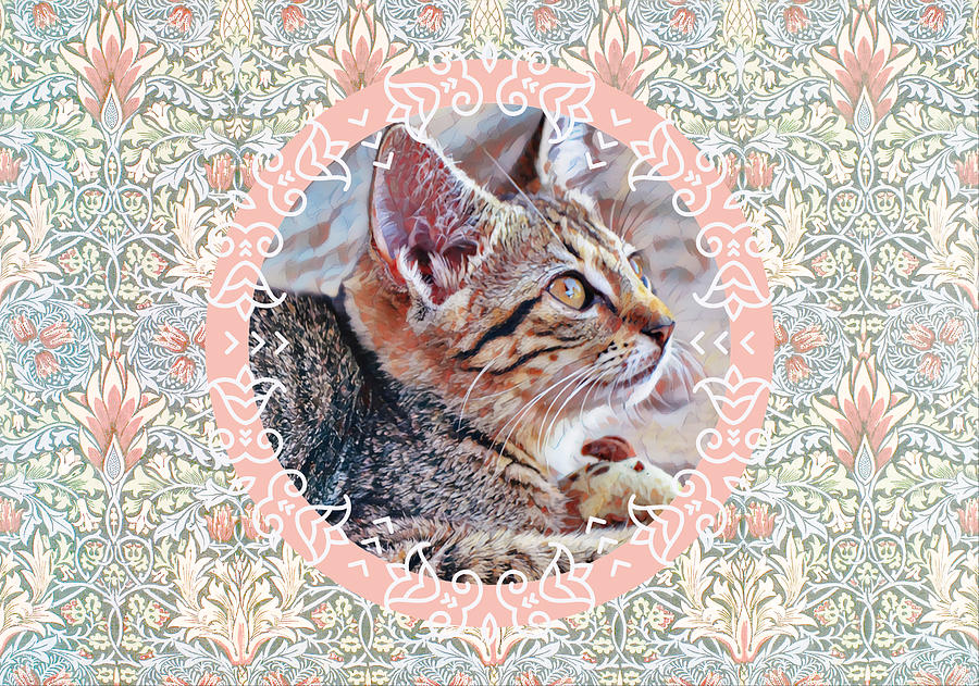 Gray Kitten Graphic Art and Pattern Digital Art by Gaby Ethington