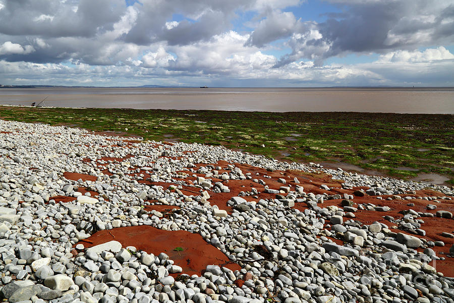 Gray limestone pebbles and red mudstones South Wales UK Photograph by James Brunker