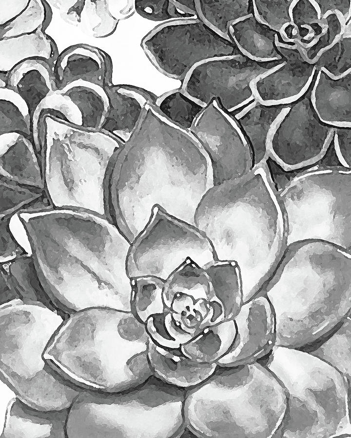 Gray Monochrome Succulent Plants Garden Watercolor Art Decor VI Painting by Irina Sztukowski
