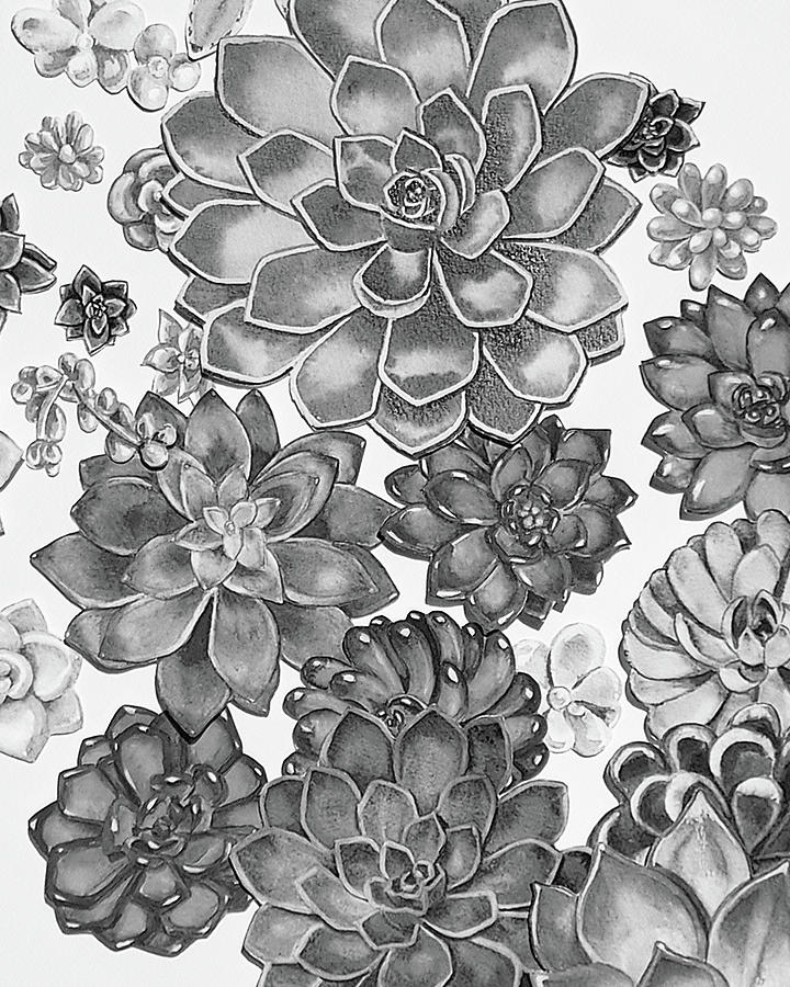 Gray Monochrome Succulent Plants Garden Watercolor Art Decor X Painting by Irina Sztukowski