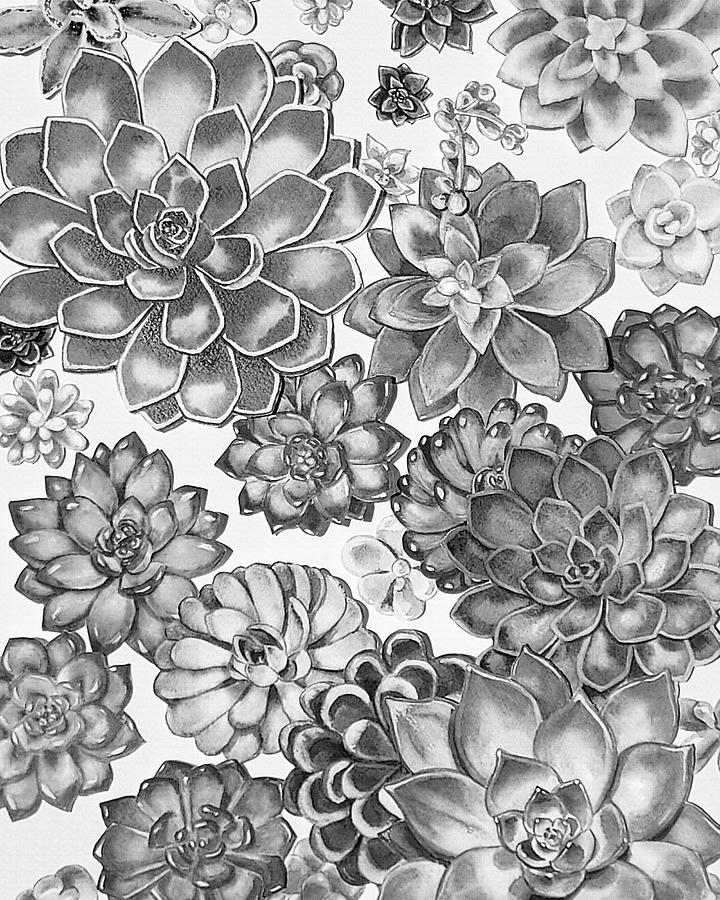 Gray Monochrome Succulent Plants Garden Watercolor Art Decor XI Painting by Irina Sztukowski