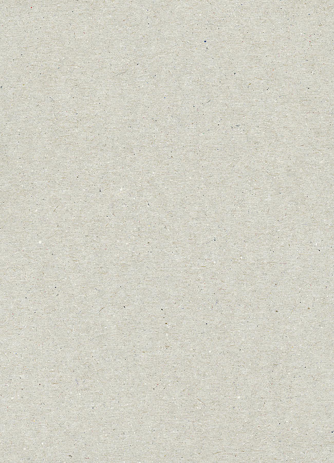 Gray rough paper texture background Photograph by Duncan1890