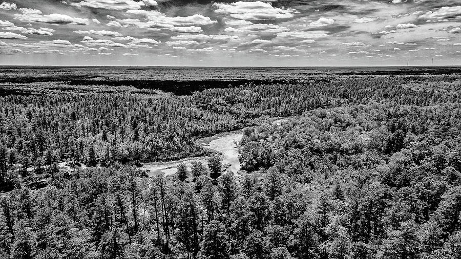 Gray Scale Outdoors Pinelands Photograph by Louis Dallara