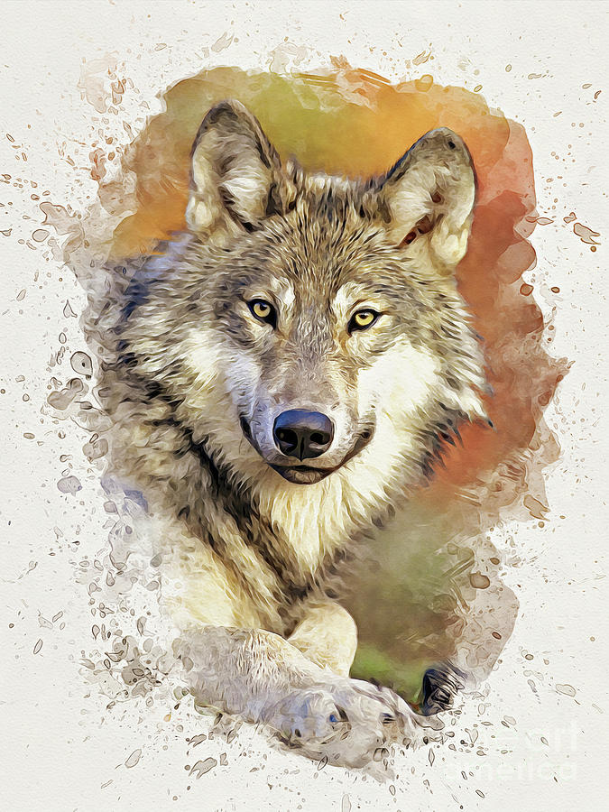 Gray Wolf Painting by Denise Dundon