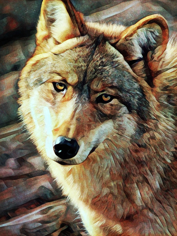 Gray Wolf Glare Painting by Ashley Aldridge - Fine Art America