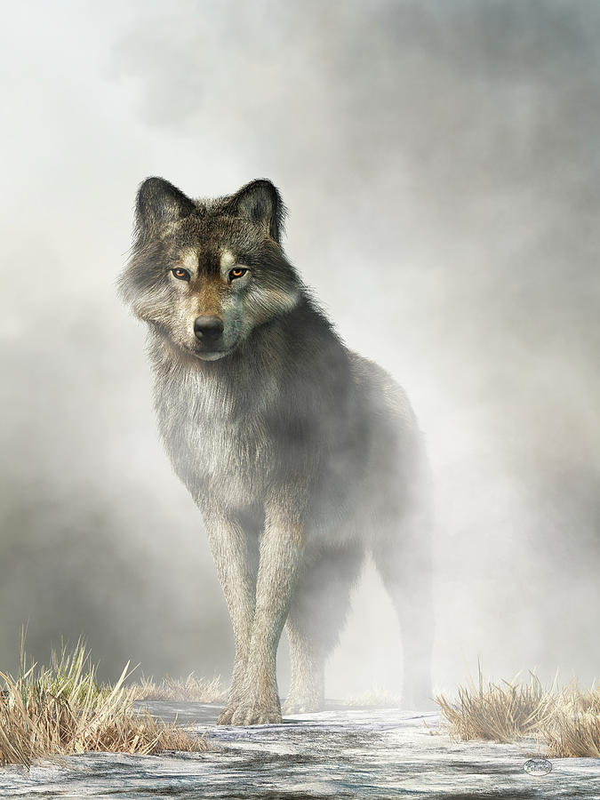 Wildlife Digital Art - Gray Wolf in Fog by Daniel Eskridge