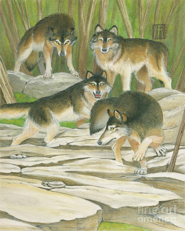 Grey Wolves Mixed Media by Melissa A Benson