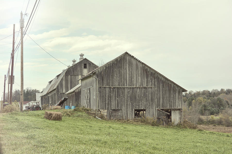 Grays Barn Photograph by Jamart Photography