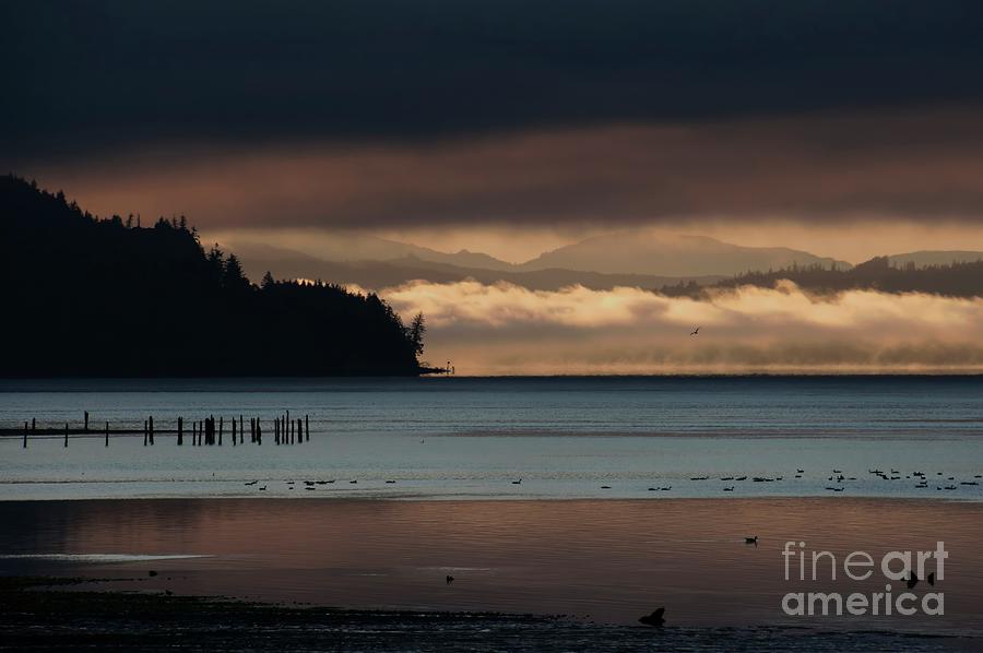 Gray's Bay and beyond, 2023 Photograph by Michael Ziegler - Fine Art ...