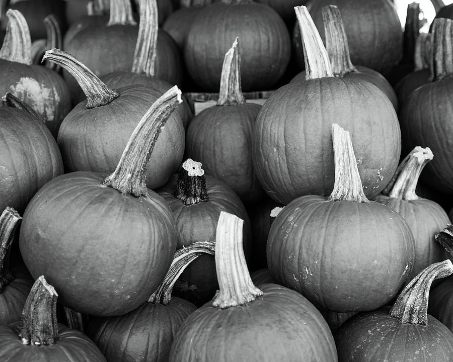 Grayscale Pumpkins Photograph by Michelle Wittensoldner