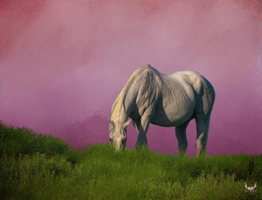 Grazing Horse with Purple Sky Photograph by Pam Rendall