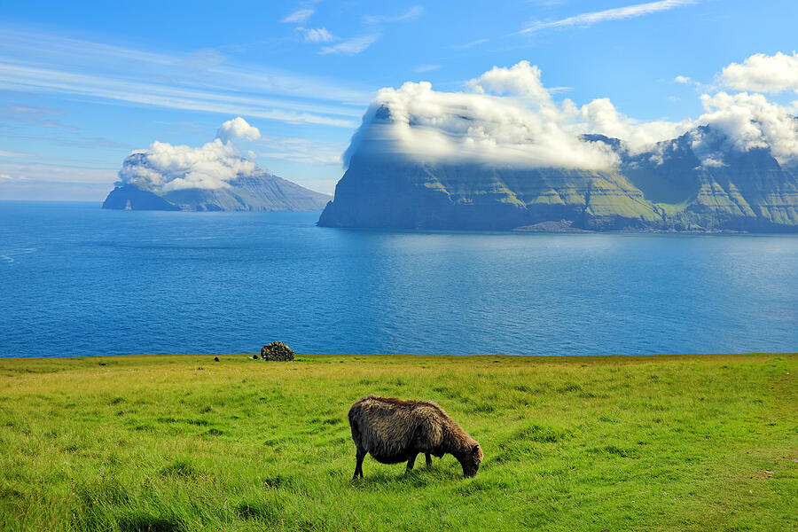 Grazing sheep on a meadow with dramatic cloud formations on steep mountains in the background Photograph by Rainer Grosskopf