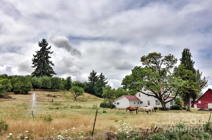 Grazing - Sheridan Oregon Photograph by Oregon Photo