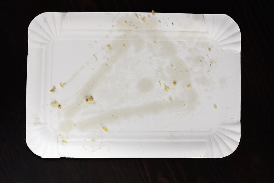 Greasy stain from pizza slice on paper plate Photograph by Larry Washburn