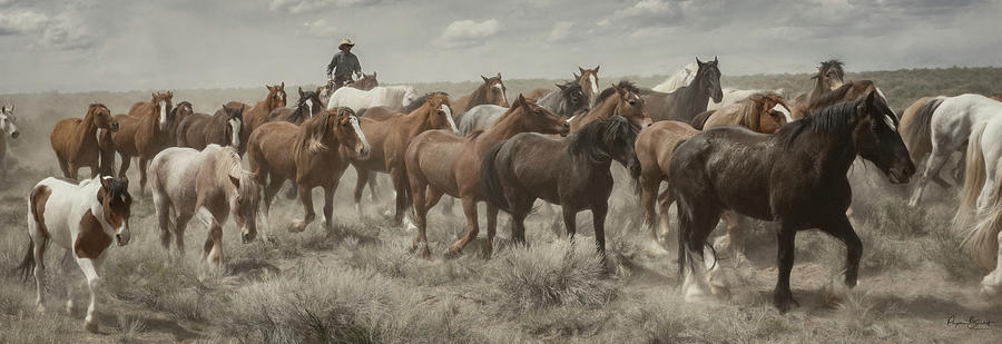 Great American Horse Drive II Photograph by Phyllis Burchett