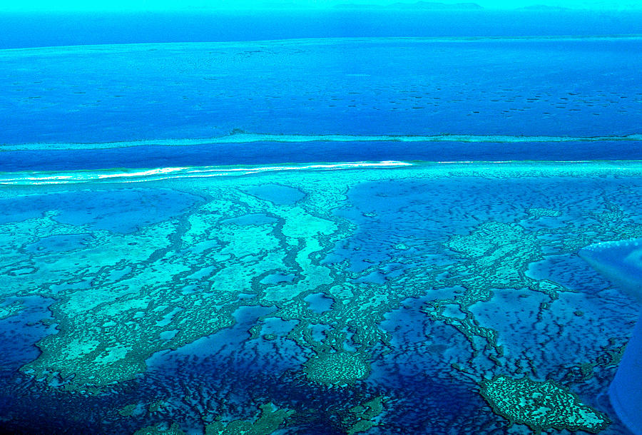 Great barrier reef Photograph by Janette Asche