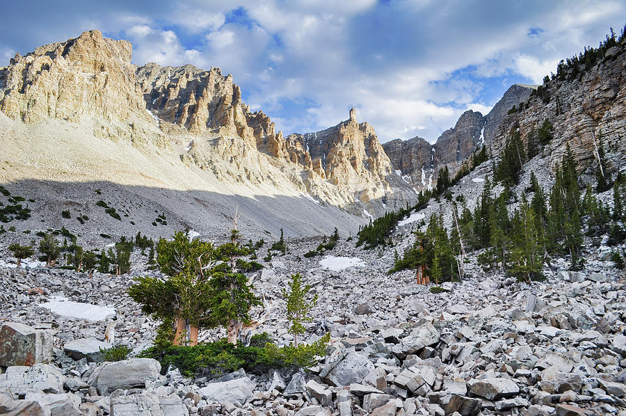 Great Basin National Park Landscape Photograph by Kyle Hanson