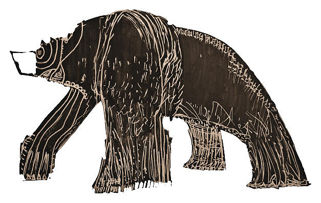 Great Bear Sepia Drawing by Pam OMara