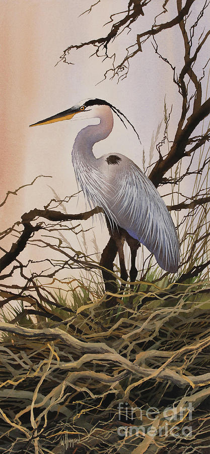 Great Blue Heron Watercolor Painting - Great Blue Heron Abode by James Williamson
