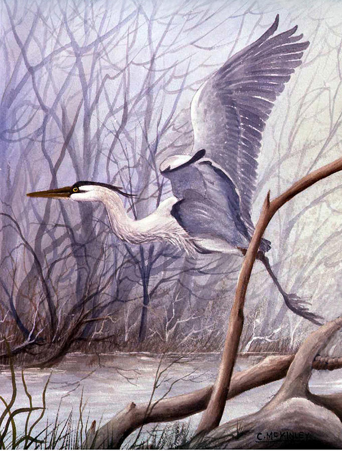 Great Blue Heron Painting by Carl McKinley