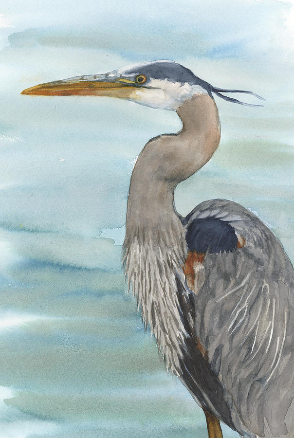 Great Blue Heron Head Shot Painting by Martha Lancaster