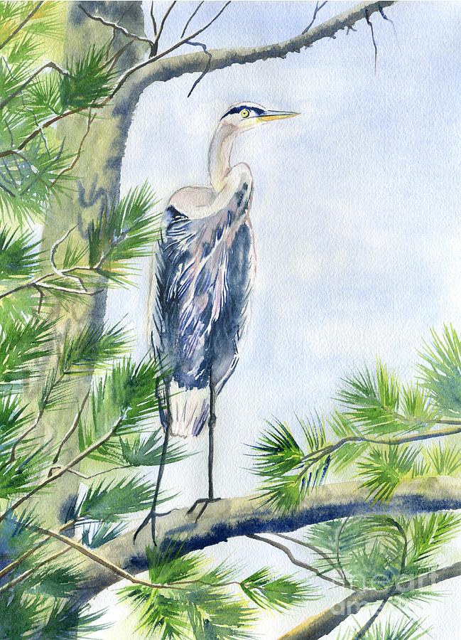 Great Blue Heron in Pine Tree Painting by Melly Terpening
