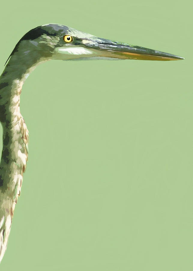 Great Blue Heron Painting by Judy Link Cuddehe Great Blue Heron Painting by Judy Link Cuddehe