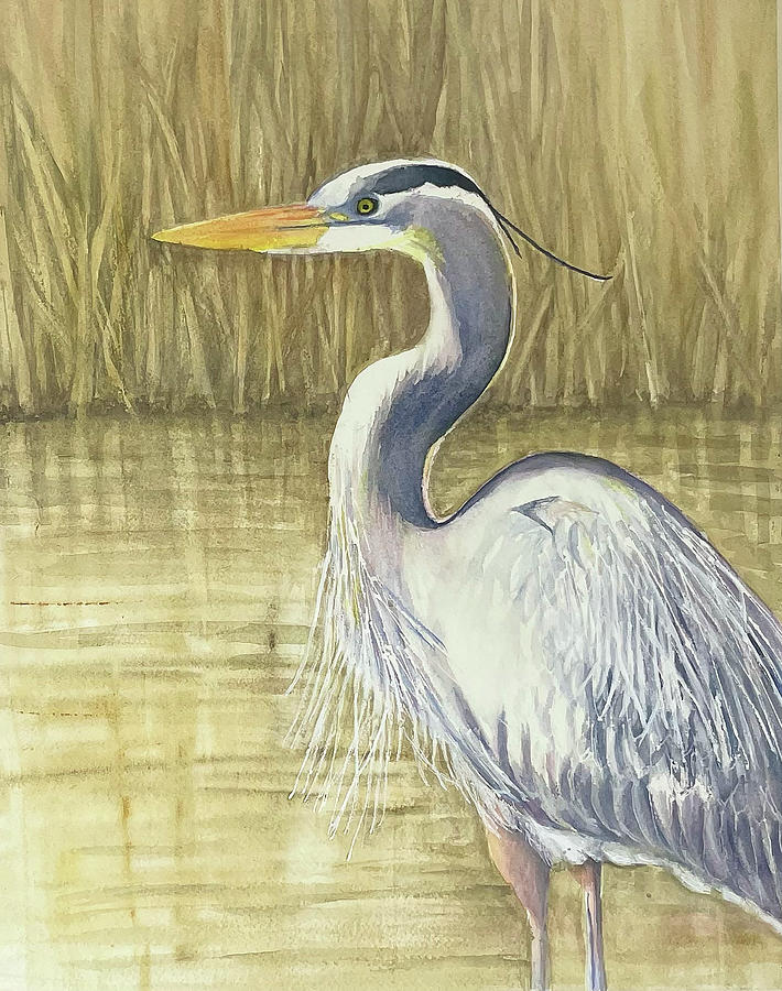 Great Blue Heron Painting by Marcia Williams | Fine Art America