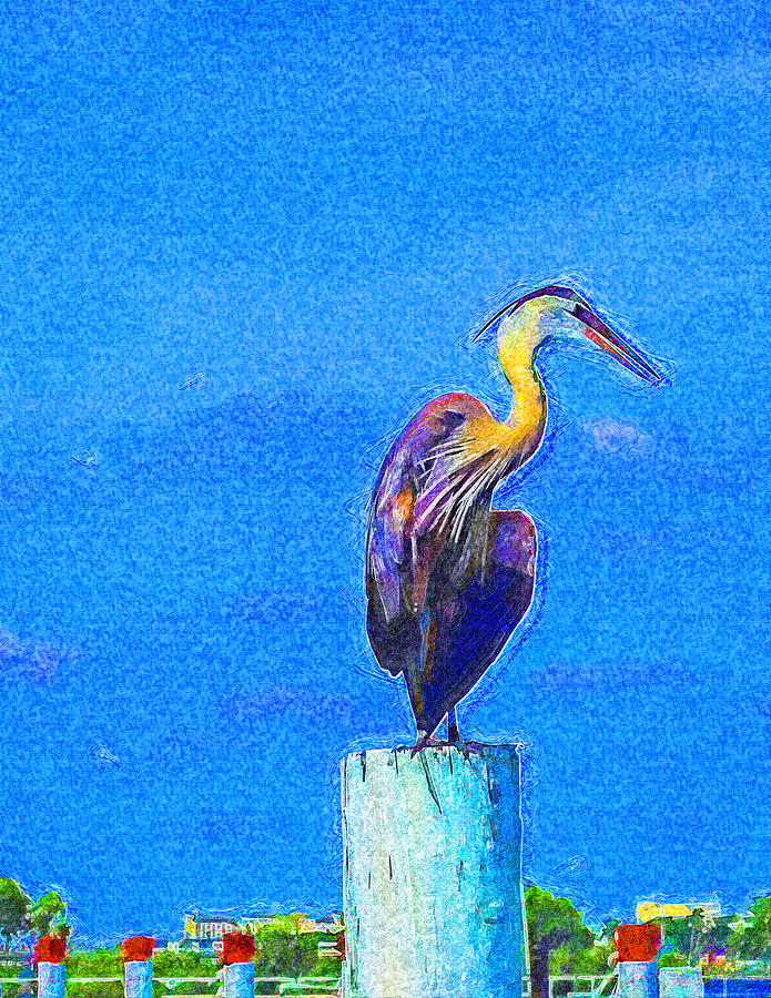 Great Blue Heron on Pier Right Digital Art by Island Hoppers Art