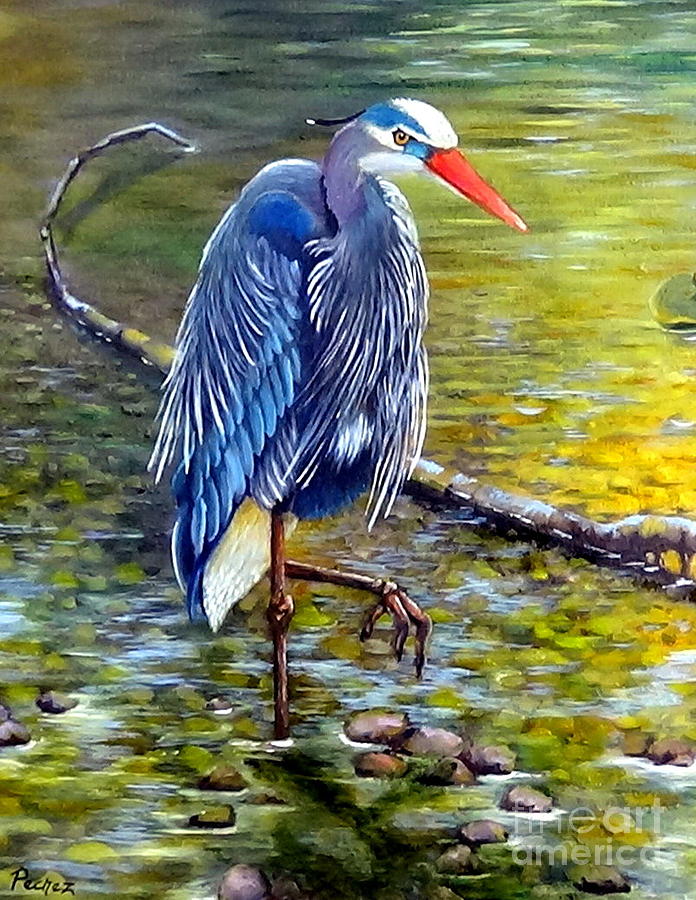 heron bird painting