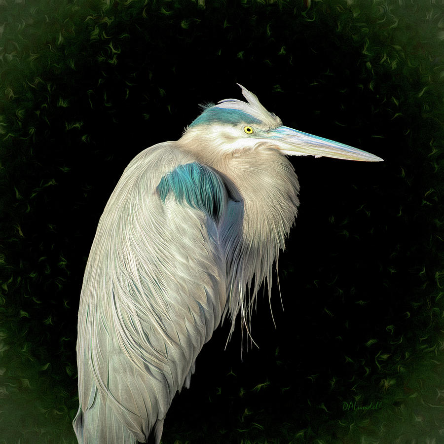 Great Blue Heron Portrait Digital Art by Dennis Lundell