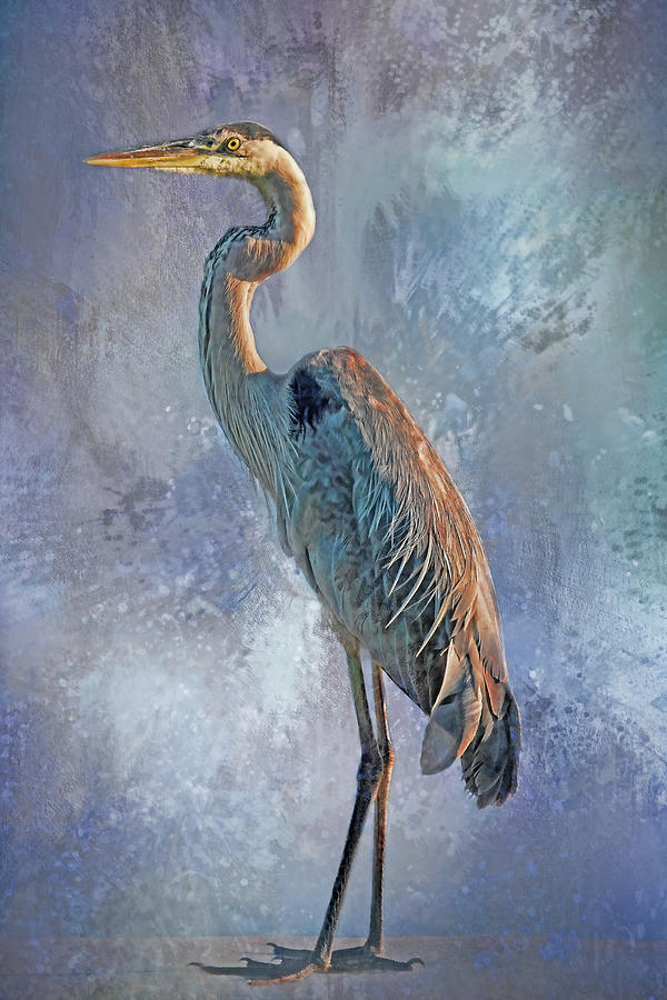 Great Blue Heron Standing Tall Photograph by HH Photography of Florida