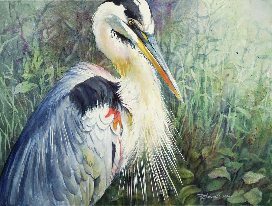 Great Blue Heron Painting by Sue Zimmermann