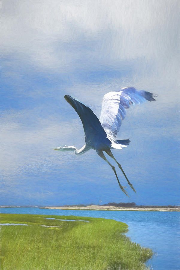 Great Blue Heron Take Off 1 Artistic 1 Digital Art by Linda Brody