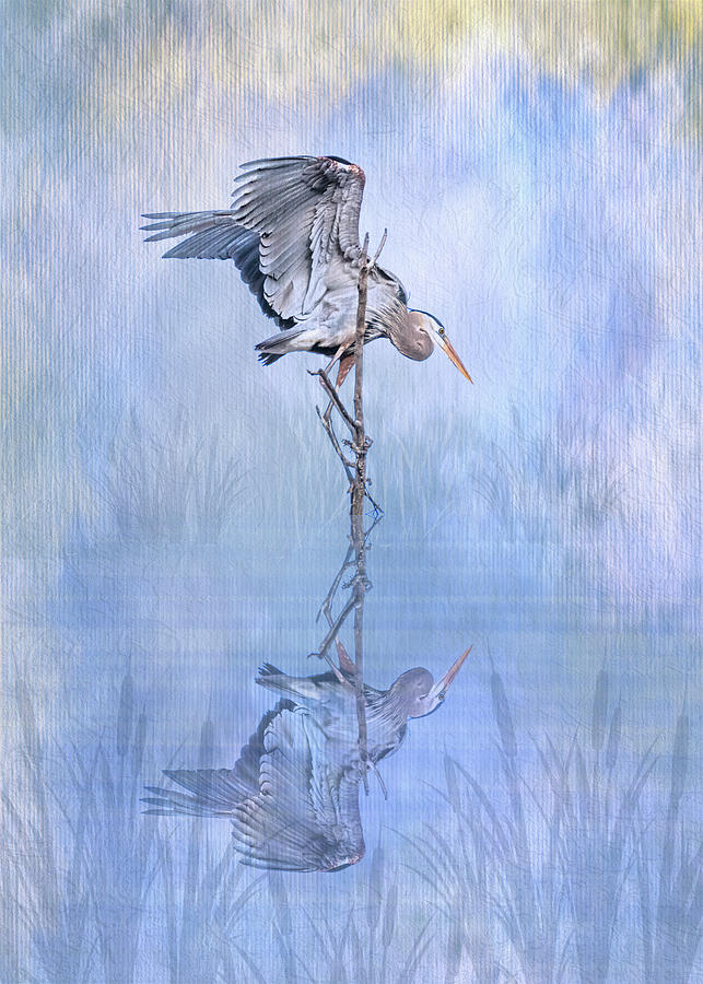 Great Blue Heron Texture Reflection - Vertical Photograph by Patti Deters
