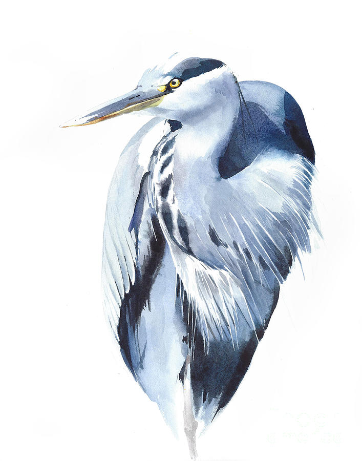 Great blue heron watercolor art Painting by Yulia Shevchenko - Fine Art